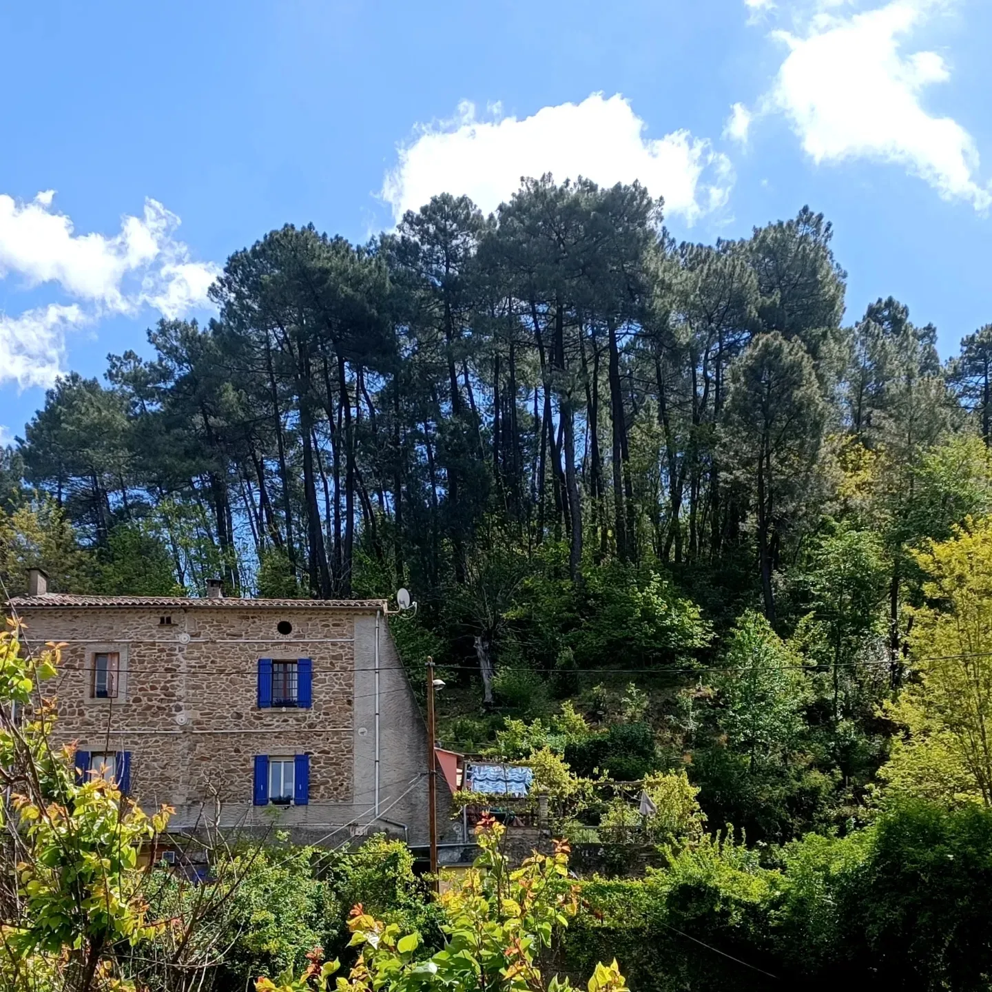 Huis in combinatie met een workshop of cursus in Languedoc Roussillon Frankrijk te huur: Maison Mimosa Super rustig vakantiehuis aan de rand van het bos 