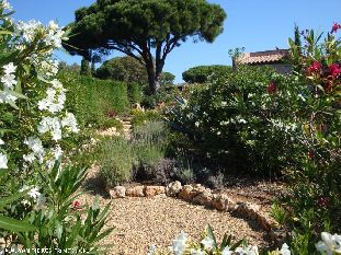 gerieflijke vakantiewoning (vue mer) vlakbij St Tropez