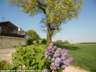 Huis te huur in Indre et Loire en binnen uw budget van  900 euro voor uw vakantie in Midden-Frankrijk.
