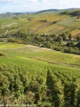 Vakantiehuizen in de Bourgogne te huur