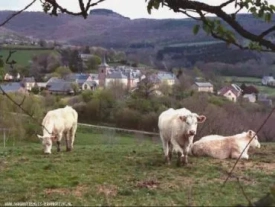 Vakantiehuizen in de Morvan te huur